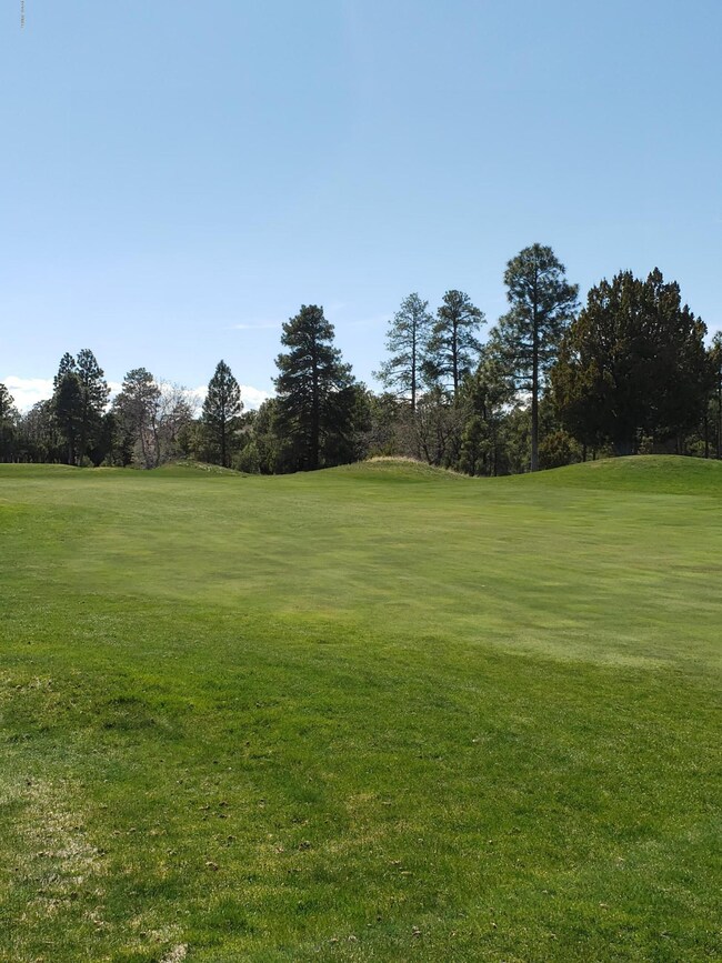 4180 Sugar Pine Loop