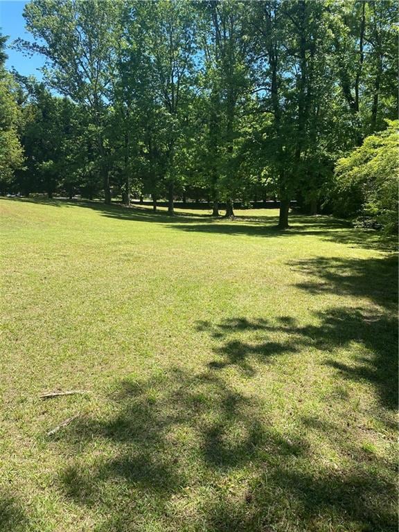 View of green lawn