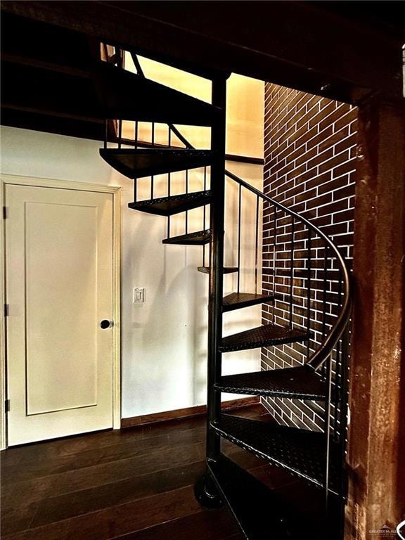 Spiral Staircase