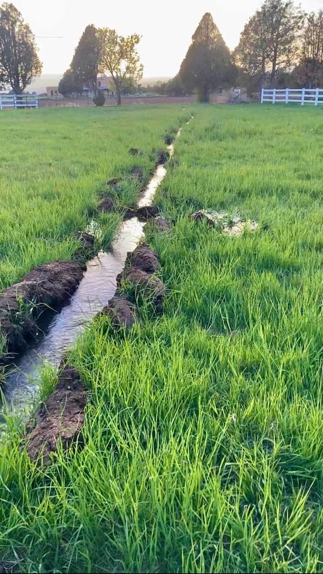 11 Camino de Adelaida Los Pinos Park, Arroyo Seco, NM 87514 - photo 2