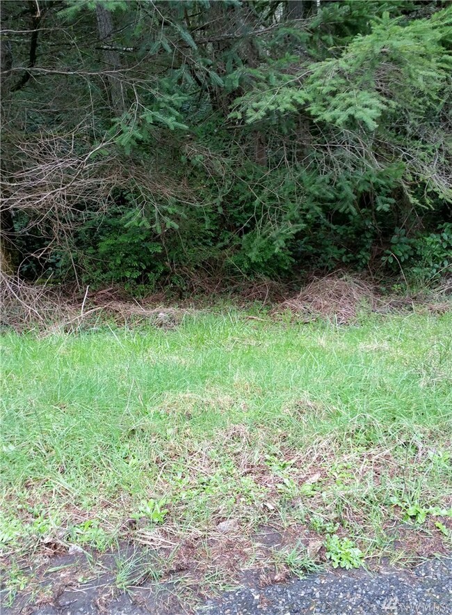 8812 Salal Dr unit AI, Anderson Island, WA 98303 - photo 5