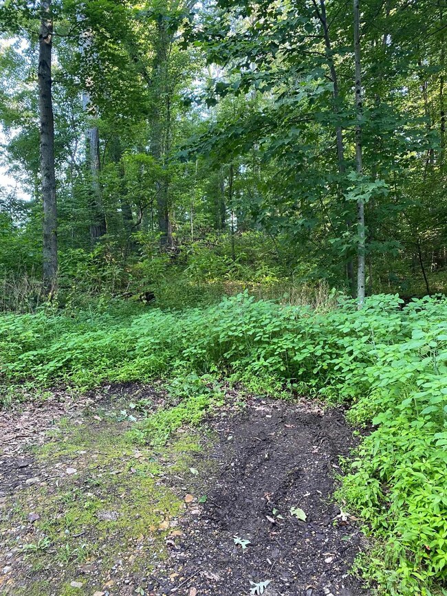 TBD Horseshoe Hollow, Stuarts Draft, VA 24477 - photo 4