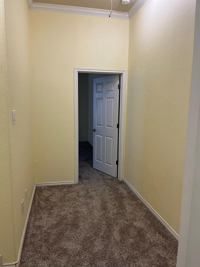 Carpeted empty room with crown molding