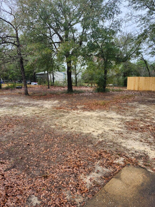 Back yard