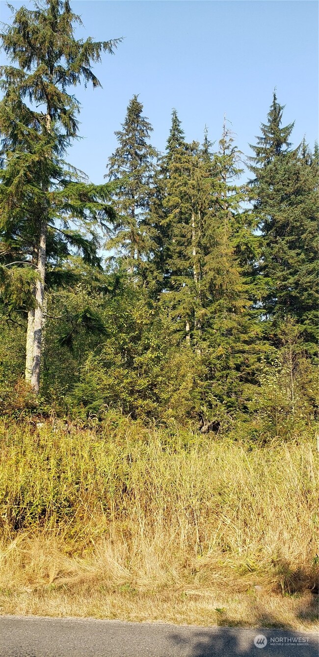 209 XX Lake Riley Rd, Arlington, WA 98223 - photo 3