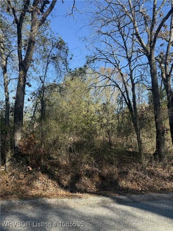 Tract 2 2nd St, Fort Coffee, OK 74959 - photo 4