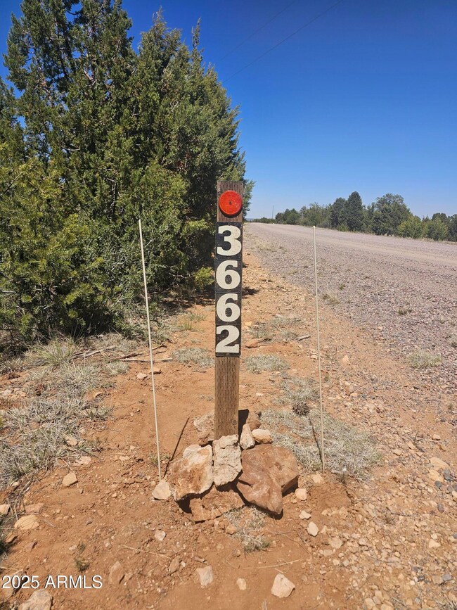 3662 Sunset Ridge Loop unit 143, Blue Ridge, AZ 86024 - photo 4