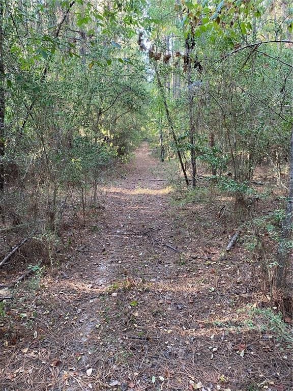 04 E Yeager Dr, Ball, LA 71405 - photo 5