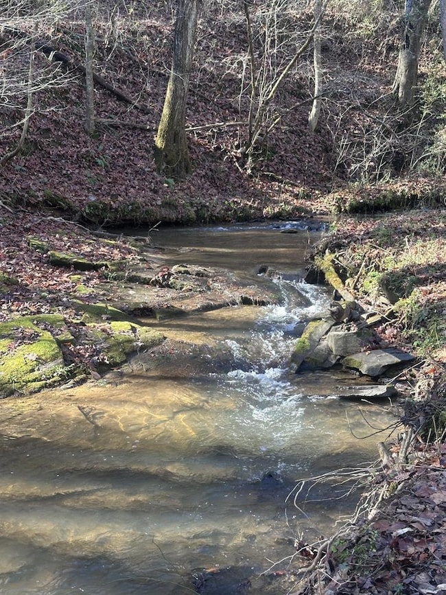 94 Springfield Pkwy, Ellijay, GA 30540 - photo 7