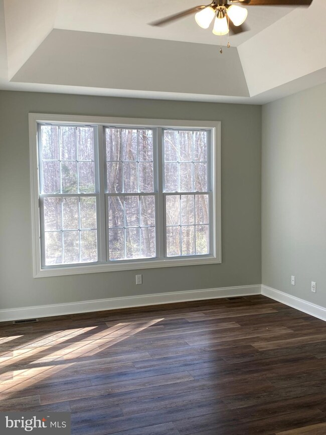 11000 Mcgregor Ln, Rixeyville, VA 22737 - photo 5