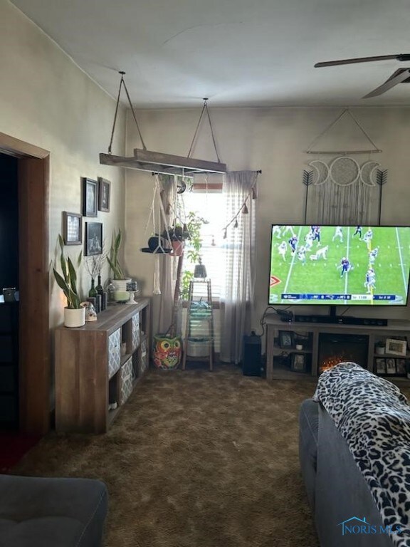 425 Oak Ave, Findlay, OH 45840 - photo 4