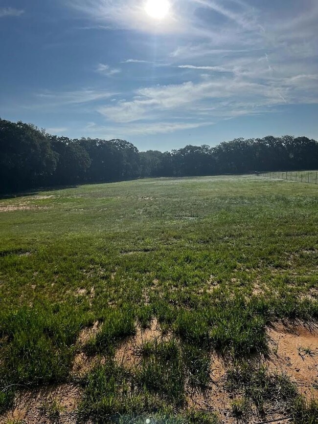 1201 Agnes Cir, Springtown, TX 76082 - photo 6