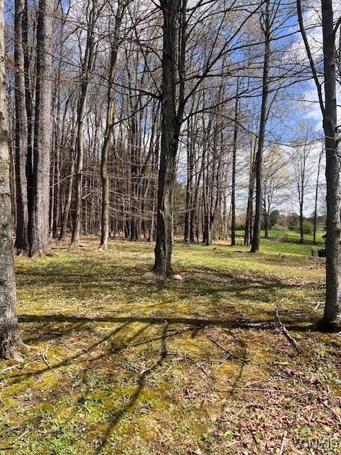 3284 Walden Oaks Blvd, Munsons Corners, NY 13045 - photo 6