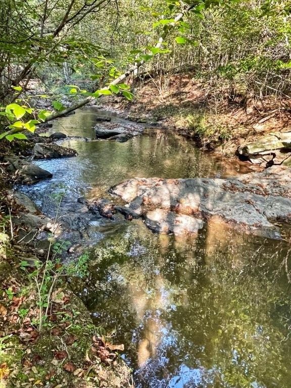 0 Highway 36 E unit 25704971, Jackson, GA 30233 - photo 5