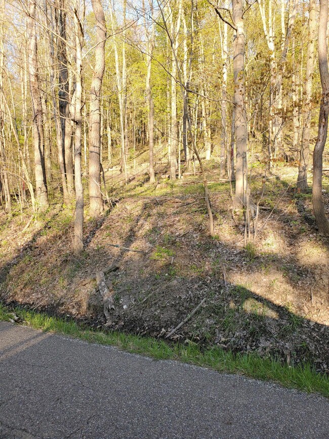 20200506_192128 (2)
