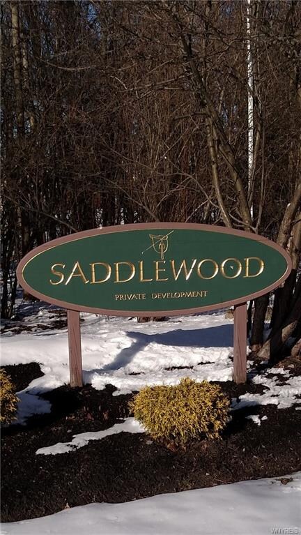You've arrived at SADDLEWOOD ... Townhouses of Dis