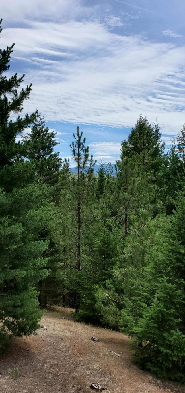 234 Iris Ln, Grants Pass, OR 97526 - photo 6