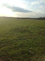 land 3