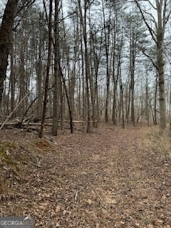 5561 Wg Robinson Rd, Gainesville, GA 30506 - photo 4