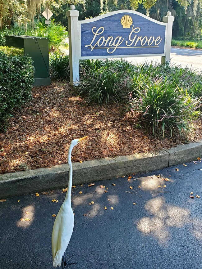 Long Grove