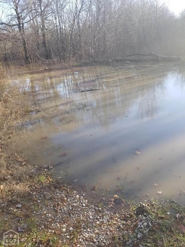 8250 U S 412, Paragould, AR 72450 - photo 4