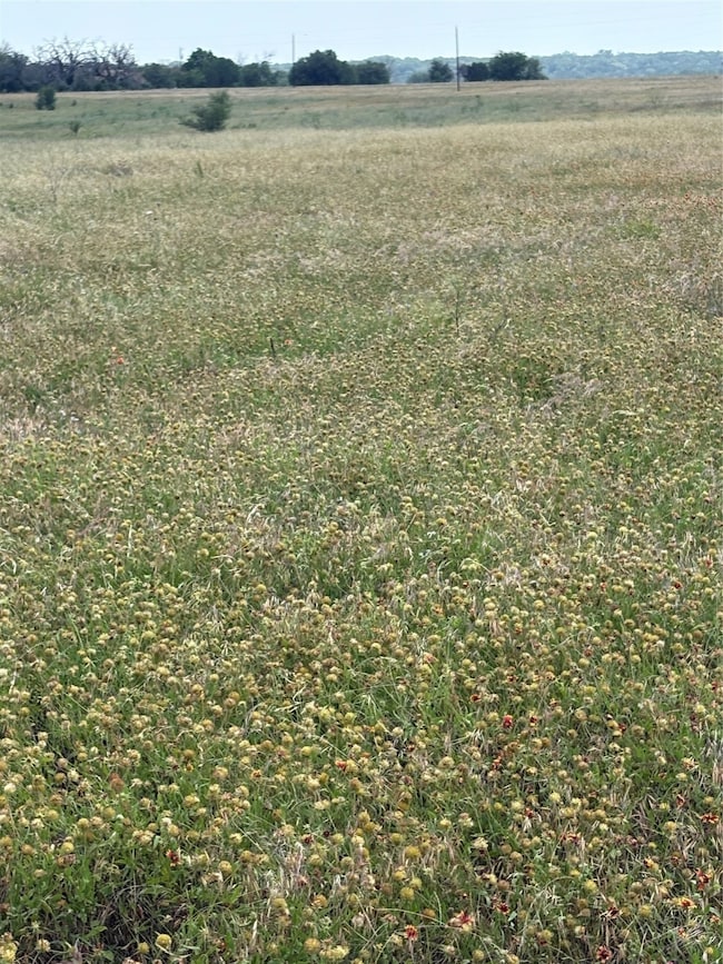 TBD LOT 2 Cr 3565, China Spring, TX 76633 - photo 2