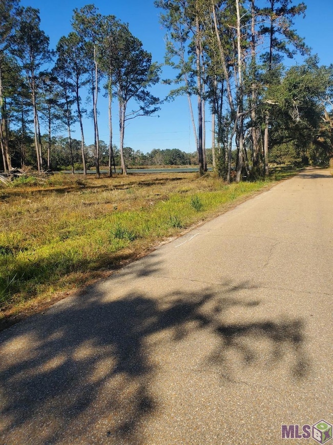 22601 Fletcher Rd, Ponchatoula, LA 70454 - photo 3