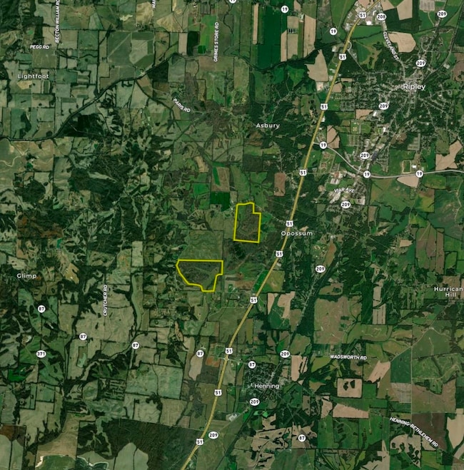 0 Faye Barfield Rd, Henning, TN 38041 - photo 3