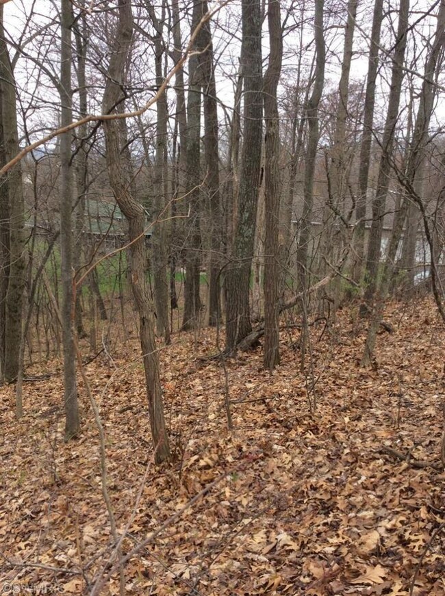 Additional Photo