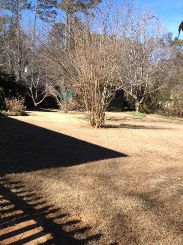 964 Hill Place, Macon, GA 31210 - photo 6