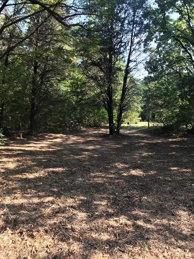 9201 Private Road 5204, Athens, TX 75751 - photo 3