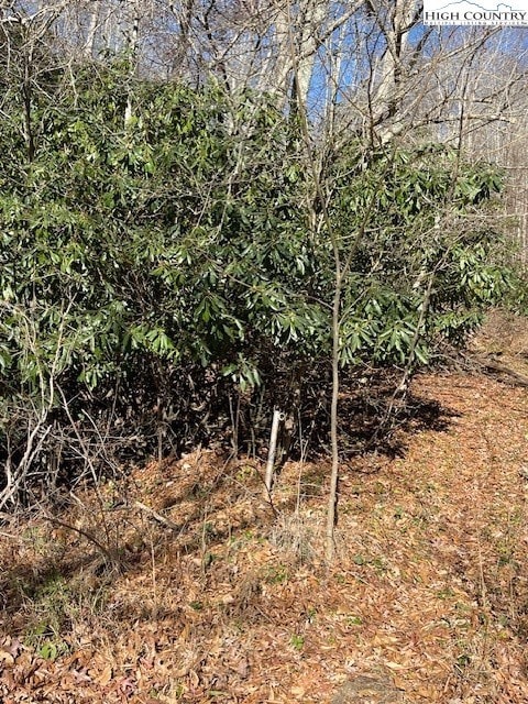 TBD Copeland Rd, Warrensville, NC 28693 - photo 3