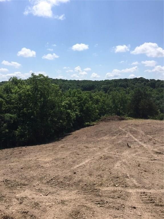 4260 Bear Hollow Rd, Jane, MO 64856 - photo 2