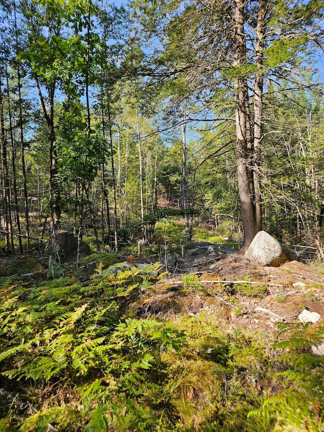 Lot A. Serenity Ln, Oxford, ME 04270 - photo 5