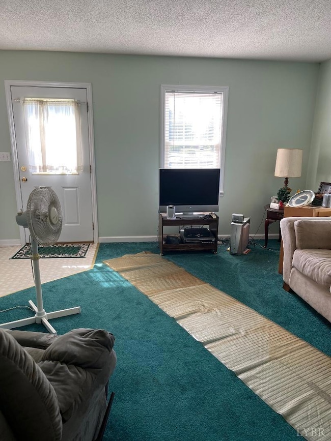 7084 Hunting Creek Rd, Nathalie, VA 24577 - photo 2