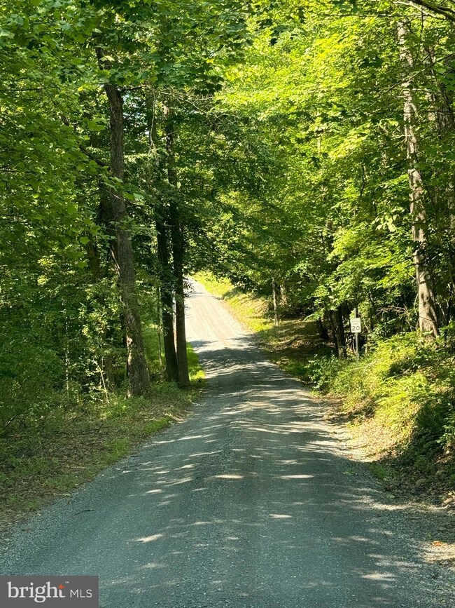 0 Rapidan Farms Dr unit VACU2008410, Lignum, VA 22726 - photo 2