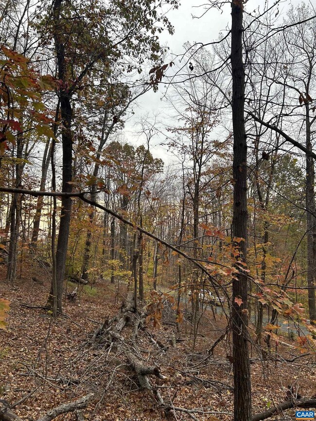 355 Stone Chimneys Rd unit 26, Nellysford, VA 22958 - photo 2