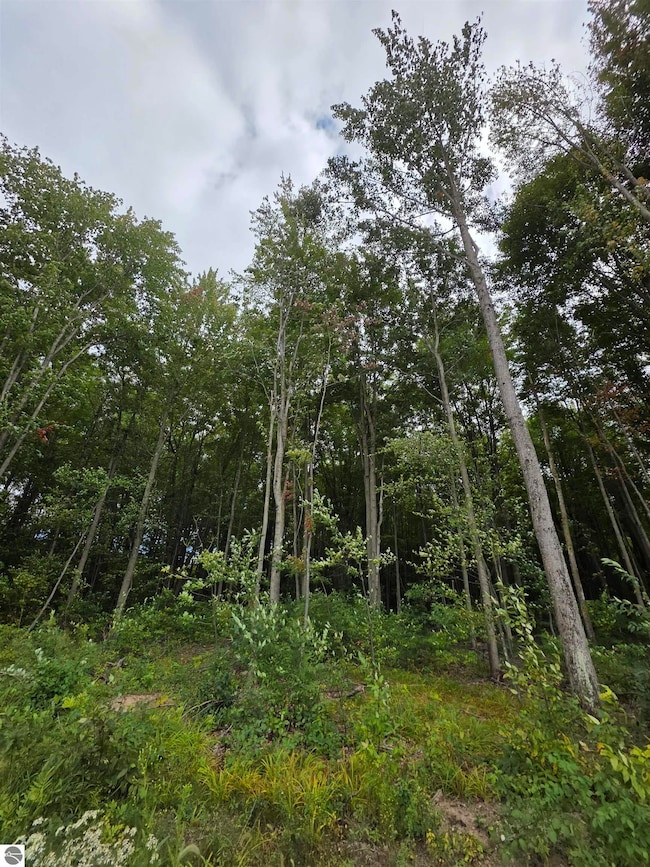 TBD S Chippewa Rd, Mount Pleasant, MI 48858 - photo 6