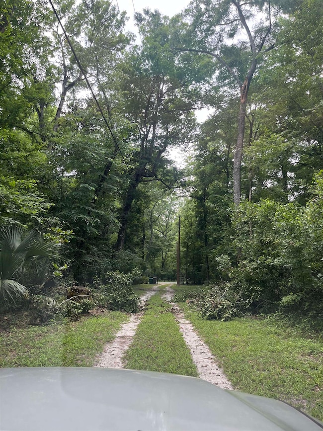 255 Beechwood Dr, Crawfordville, FL 32327 - photo 5