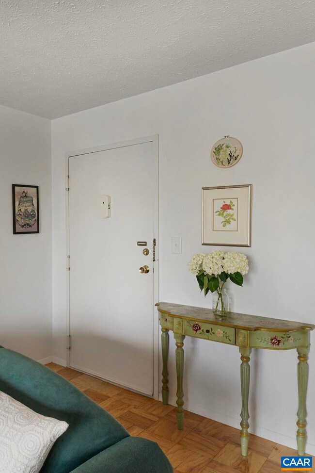 511 1st St N unit 309, Charlottesville, VA 22902 - photo 5