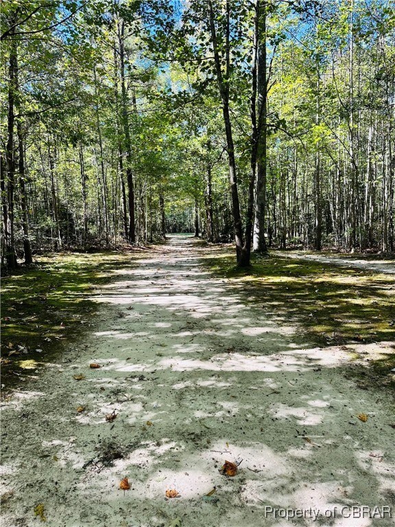 Trail to open area