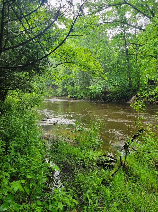 Wooded lot on Bear Creek