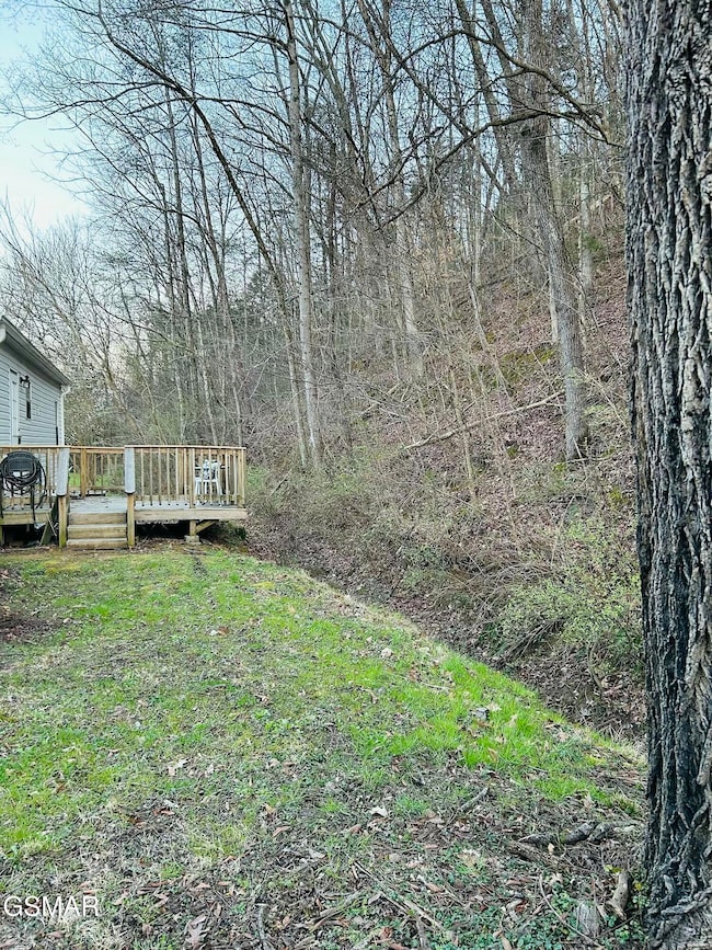 214 Cody Dr, Sevierville, TN 37862 - photo 6