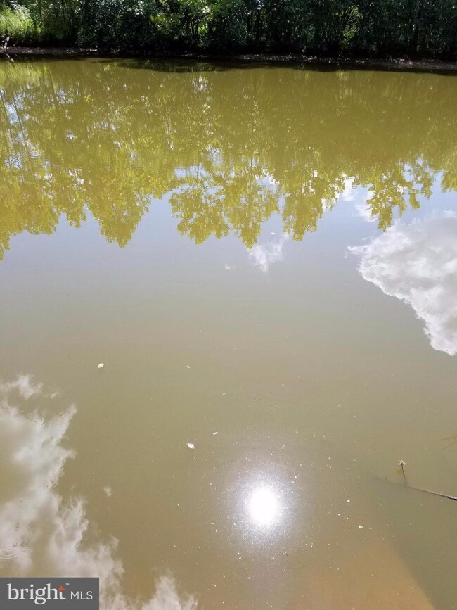 0 Daniels Point Dr unit 1000142603, Orange, VA 22960 - photo 2