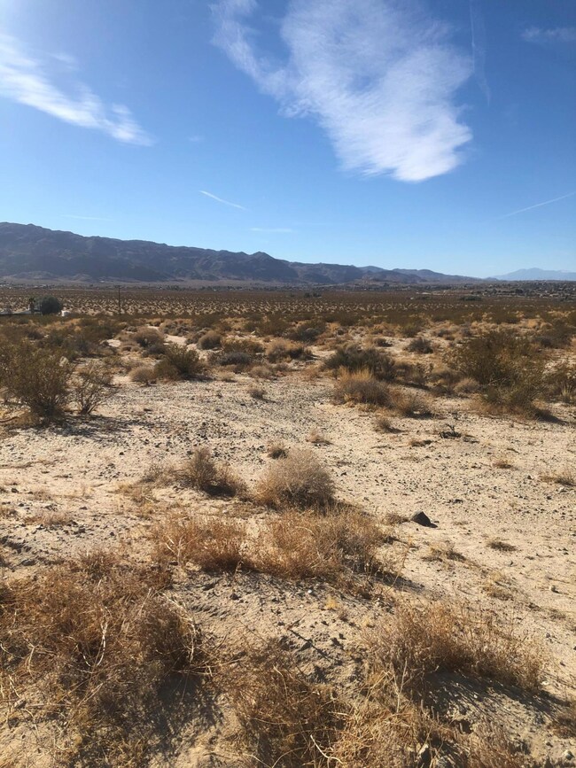 Pic 1