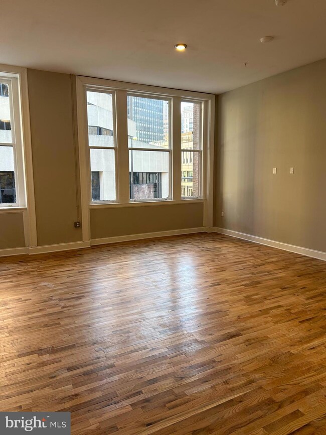 100 W Lexington St unit 305, Baltimore, MD 21201 - photo 5