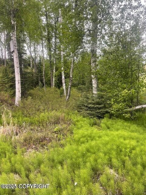 L22 W Call of The Wild Cir, Big Lake, AK 99654 - photo 6