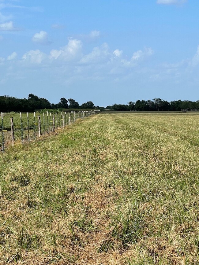 6931 Kamas Ln, Needville, TX 77461 - photo 6