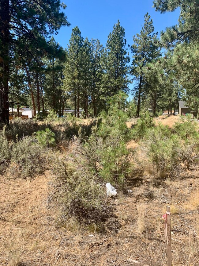 Vacant Lot
