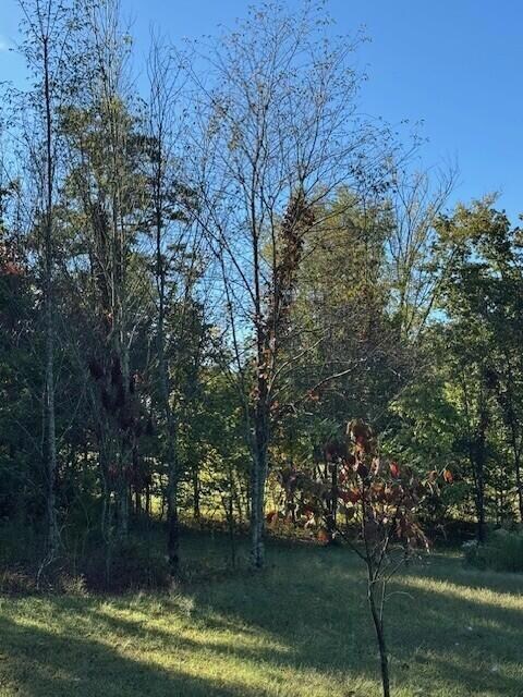 446 Patton School Rd, South Pittsburg, TN 37380 - photo 6